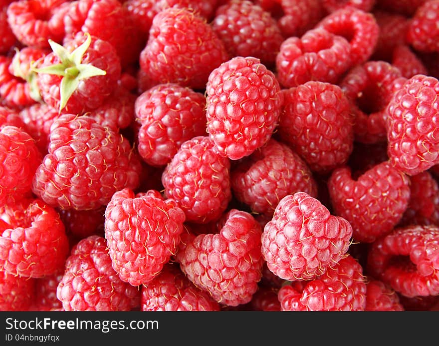 Ripe red raspberries