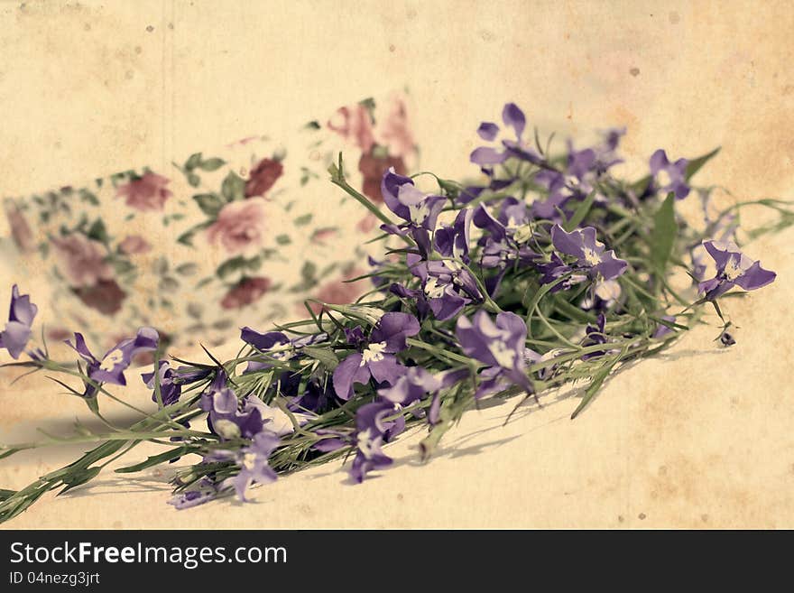 Beautiful vintage background with blooming lobelias. Beautiful vintage background with blooming lobelias