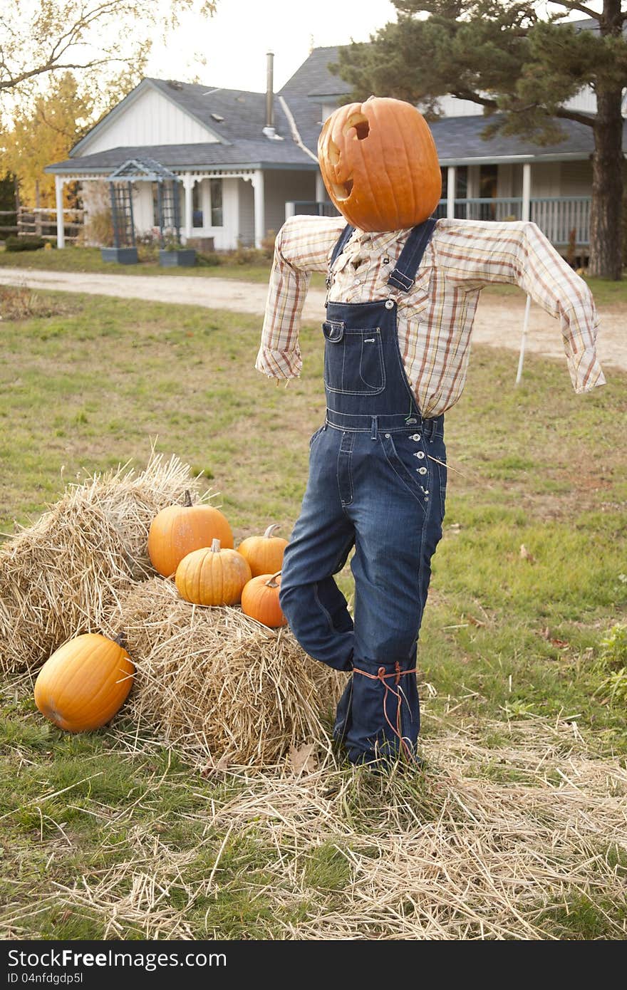 A halloween pumpkin on top of of scare crow. It is standing in bales of hay and pumpkins. a house is in the background. A halloween pumpkin on top of of scare crow. It is standing in bales of hay and pumpkins. a house is in the background