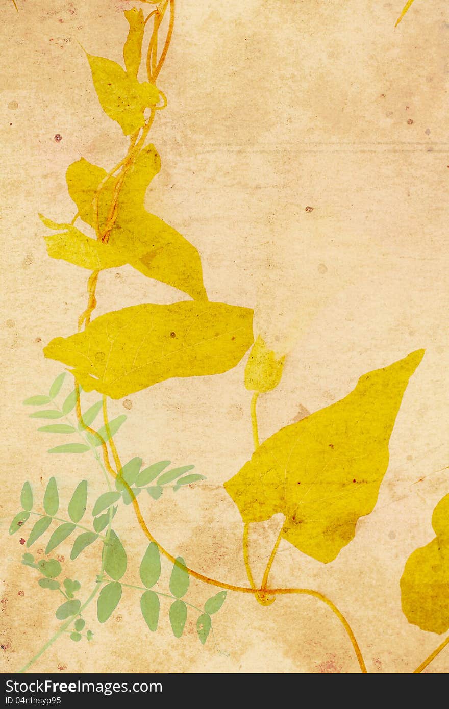 Beautiful Vintage Background With Autumnal Leaves