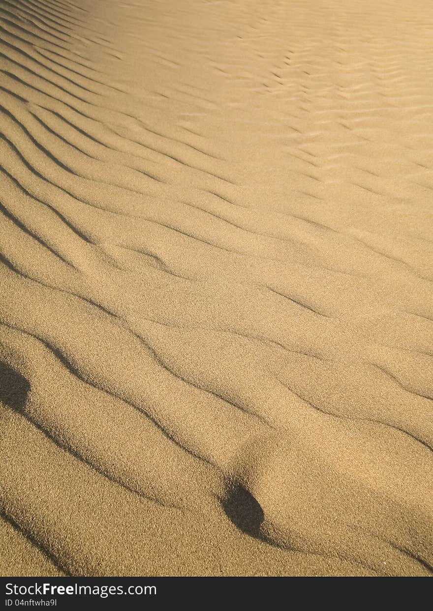 Desert - Dunes - Sandy landscape / terrain. Desert - Dunes - Sandy landscape / terrain