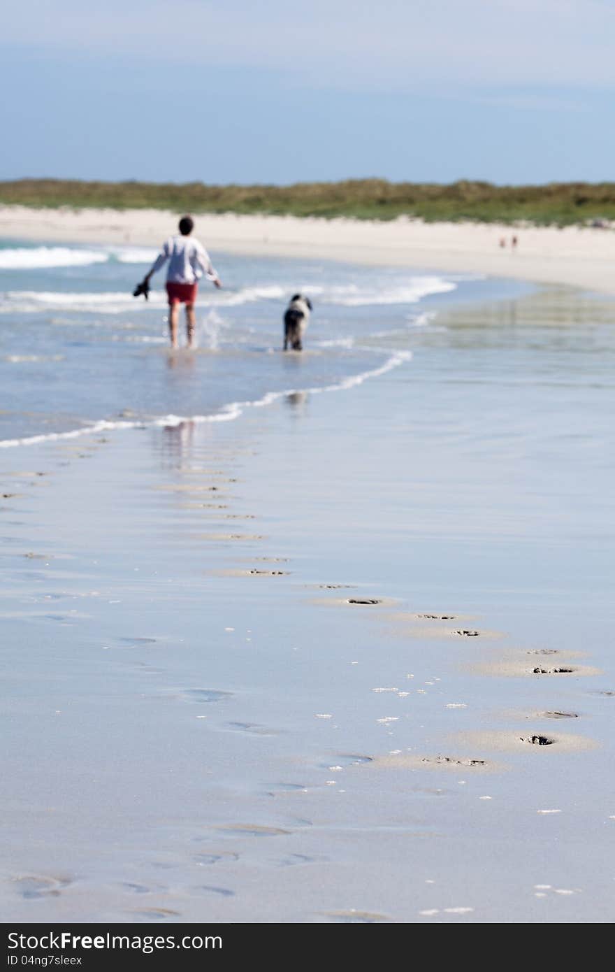 At the beach a man walks a dog in the background