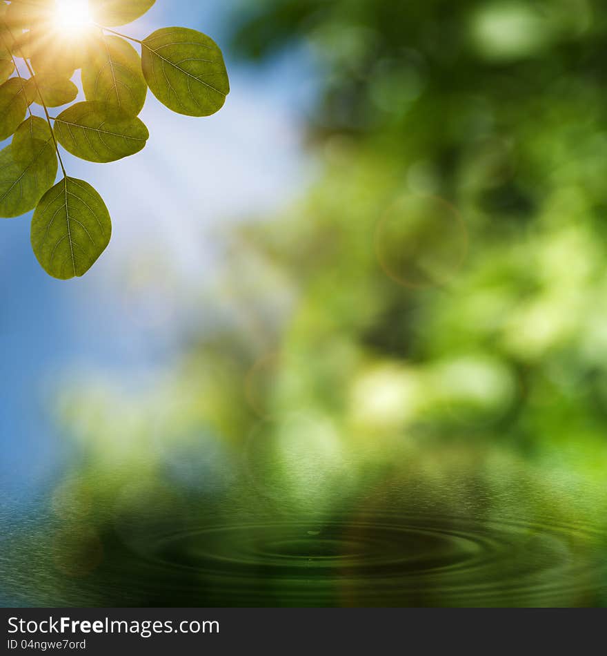 After the rain. Abstract natural backgrounds