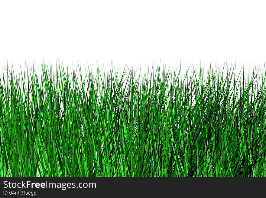 High meadow grass on a white