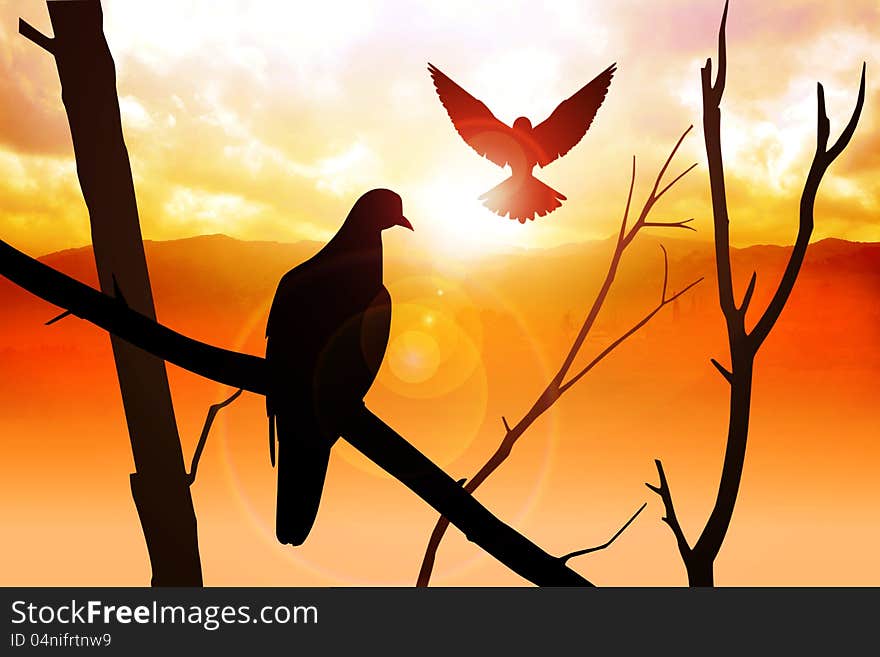 Silhouette of birds at sunrise. Silhouette of birds at sunrise