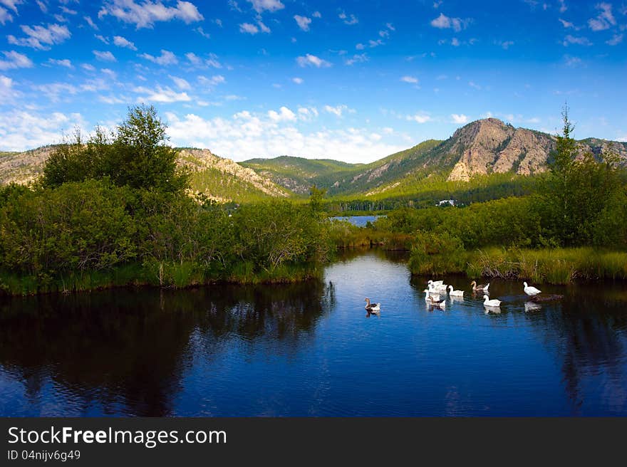 Mountain landscape with geese