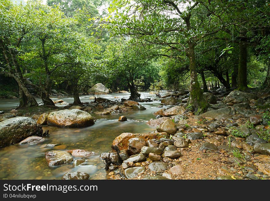 Water stream in forest on rainy season. Water stream in forest on rainy season