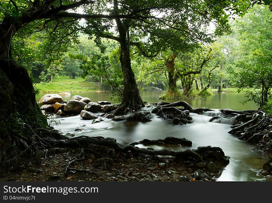 Water stream in forest on rainy season. Water stream in forest on rainy season