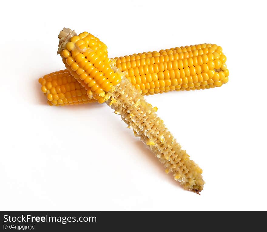 Two boiled corn on white background.