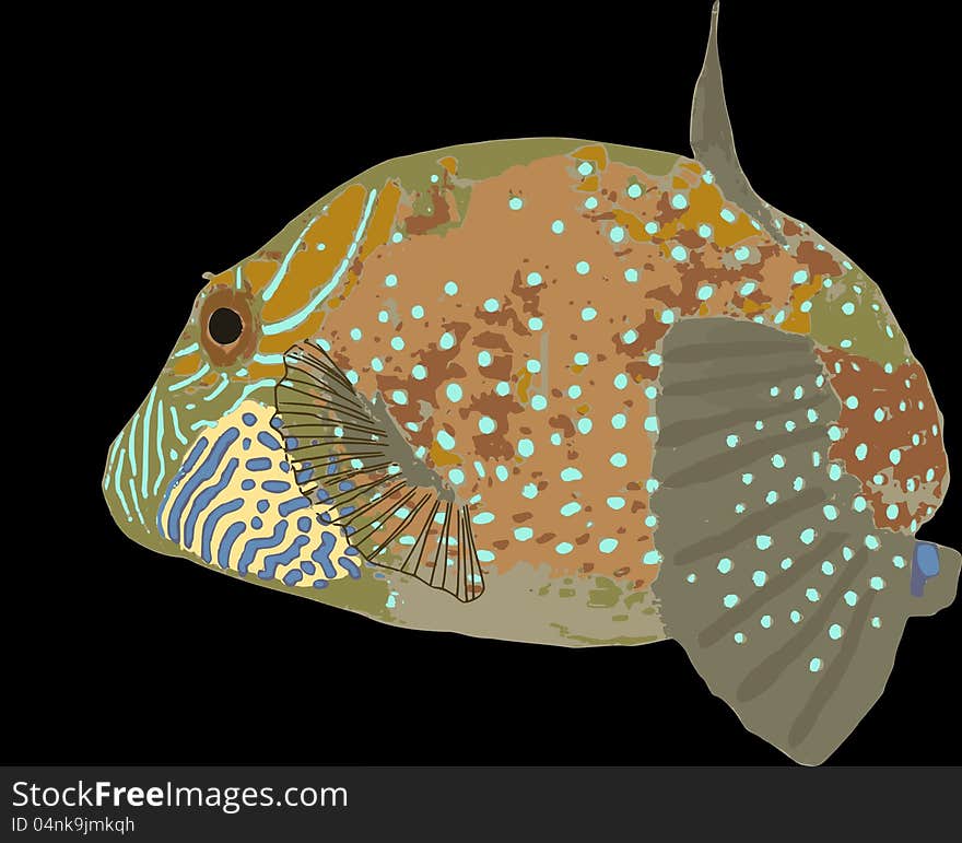 Ambon Toby on black illustration; one of the more color pufferfishes in the oceans.