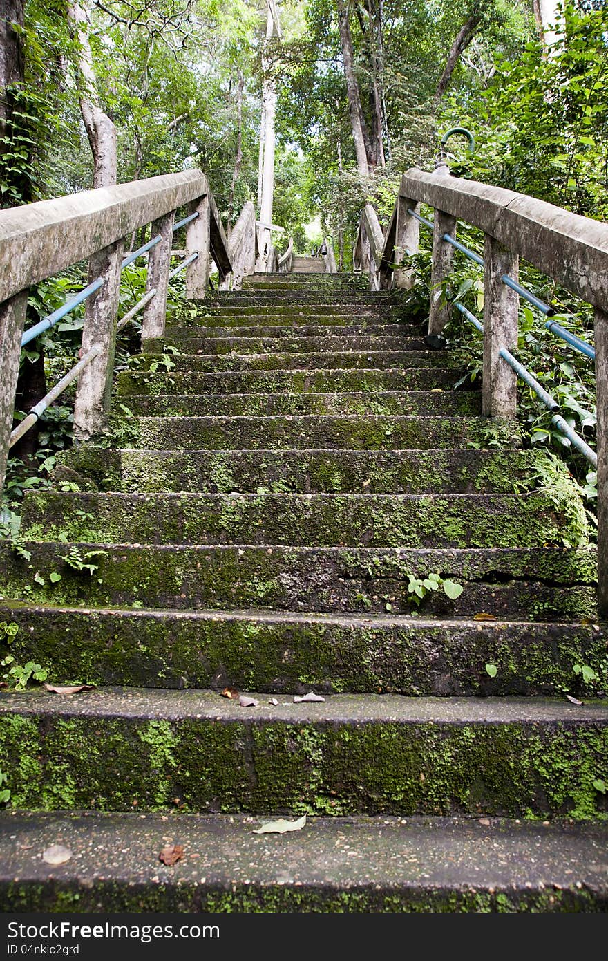 Old stairs in forest