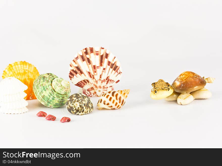 The souvenir is made of seashell on grey background. The souvenir is made of seashell on grey background.