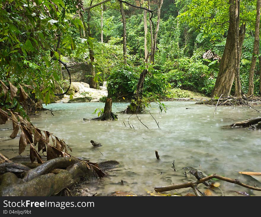 Raining in forest of national park in Thailand. Raining in forest of national park in Thailand