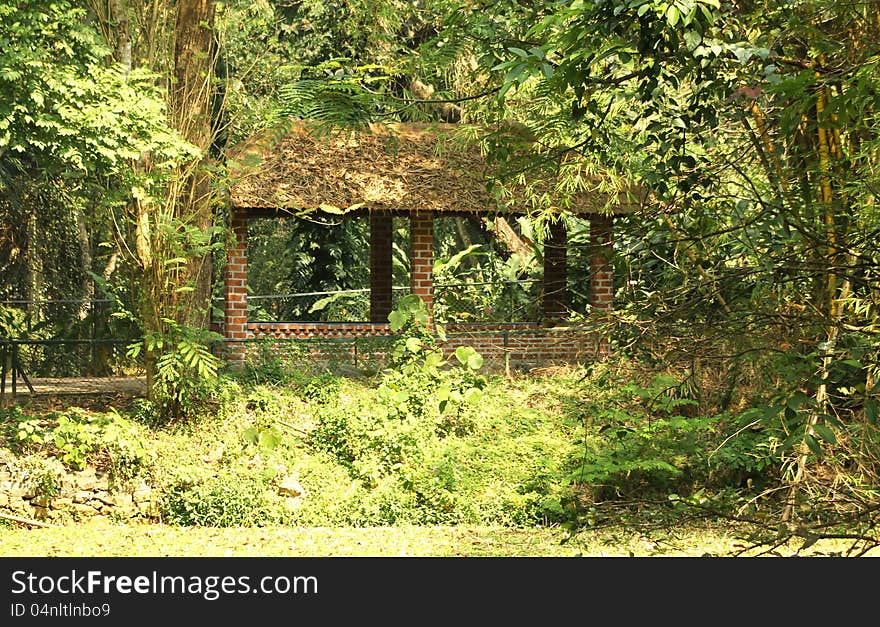 Jungle hut in deep vegetation with many trees and plants