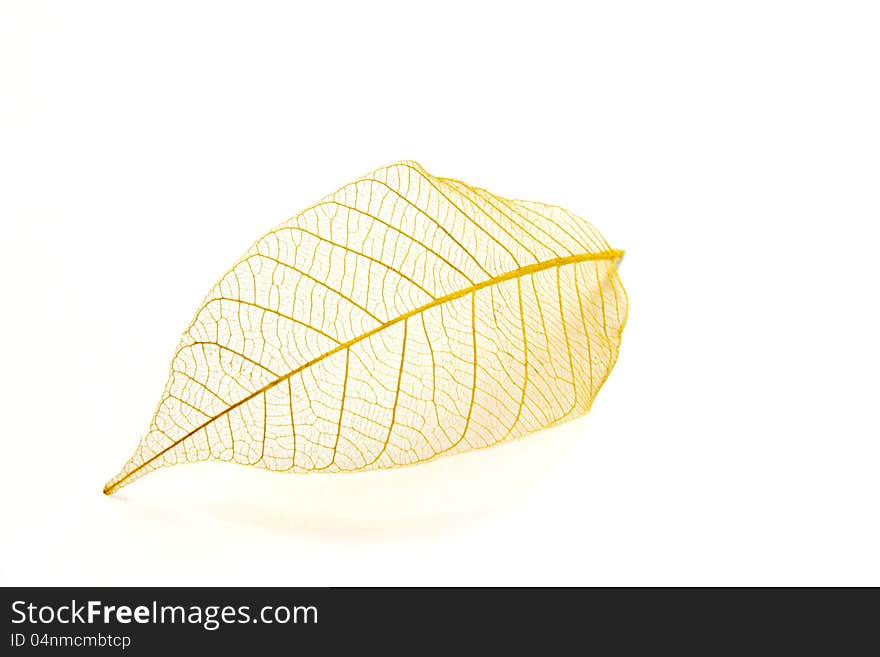 Golden leaf