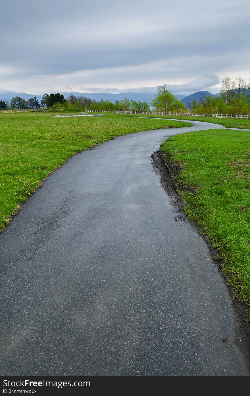 Road with green grass landscape in spring