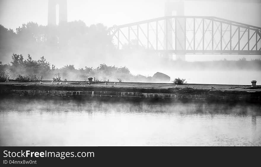 Seagulls Sit on Pier on Foggy Morning