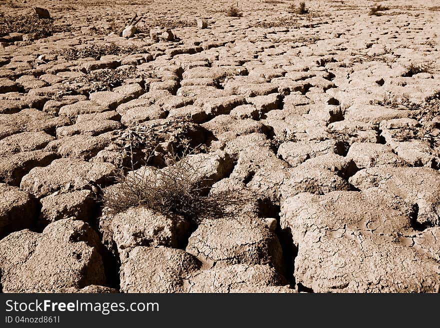 Dry cracked ground and plants. Taken in Negev, Israel. Dry cracked ground and plants. Taken in Negev, Israel.