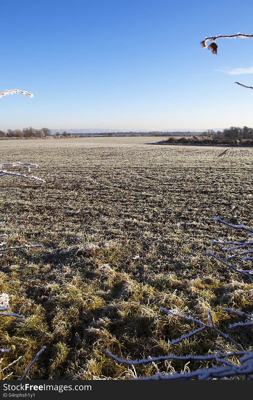 A Frosty Landscape.