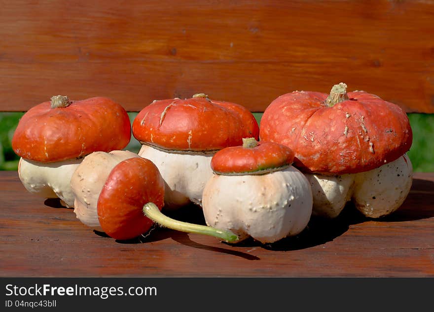 Fungoid pumpkin