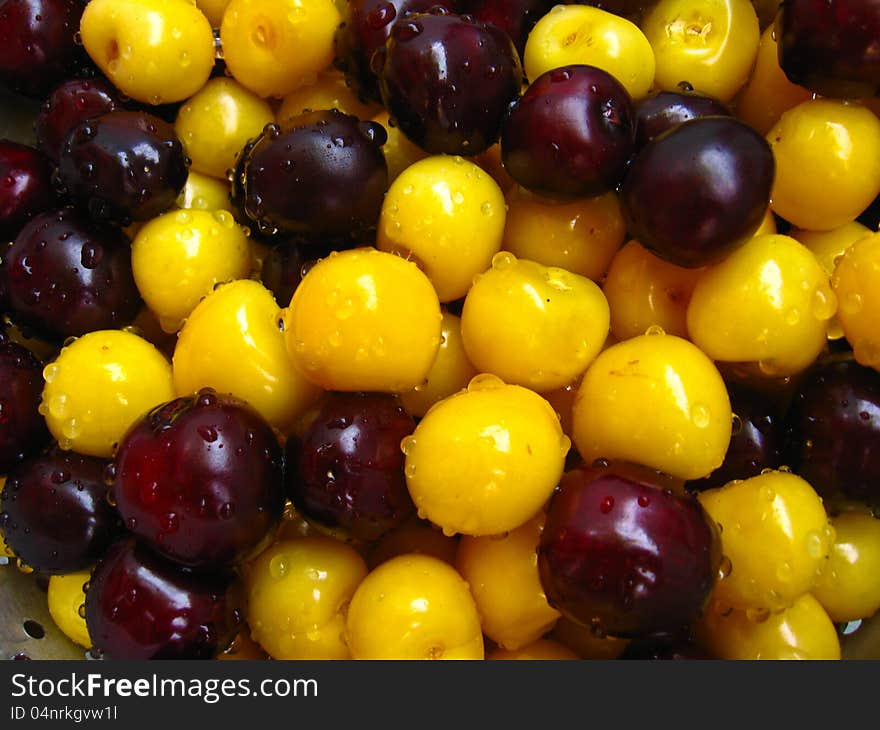 Berries of a fresh cherry