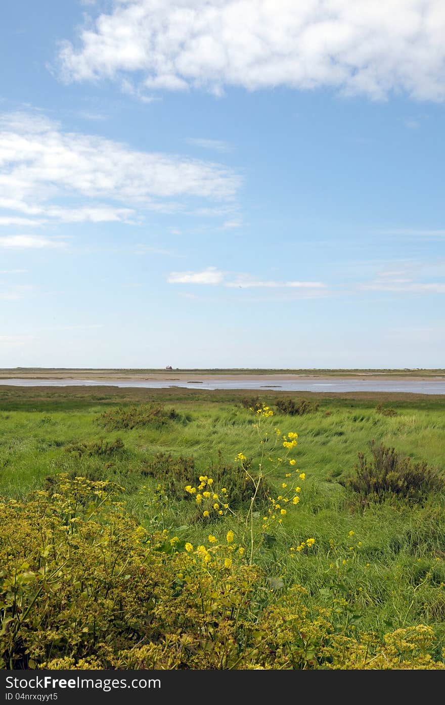 Coastal path through marshes at Blakeney in Norfolk