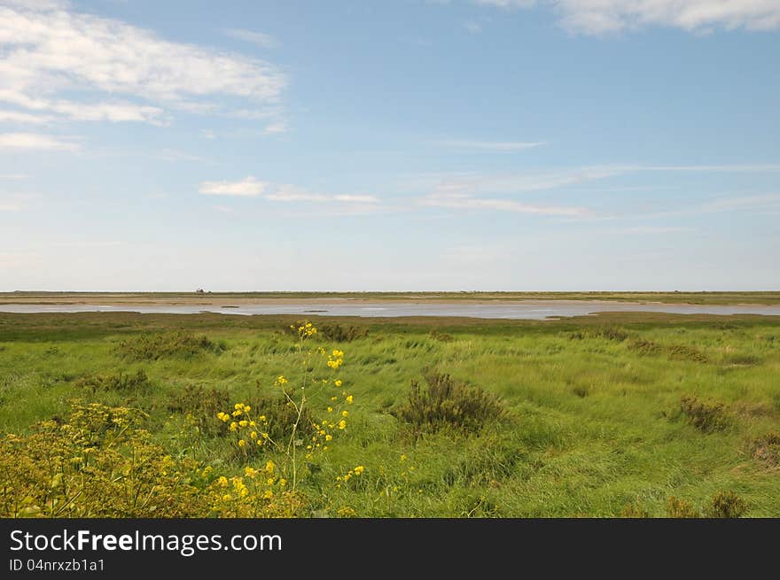 Coastal path through marshes at Blakeney in Norfolk