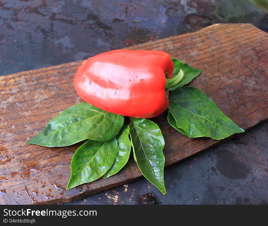 Red pepper on a wooden background close-up