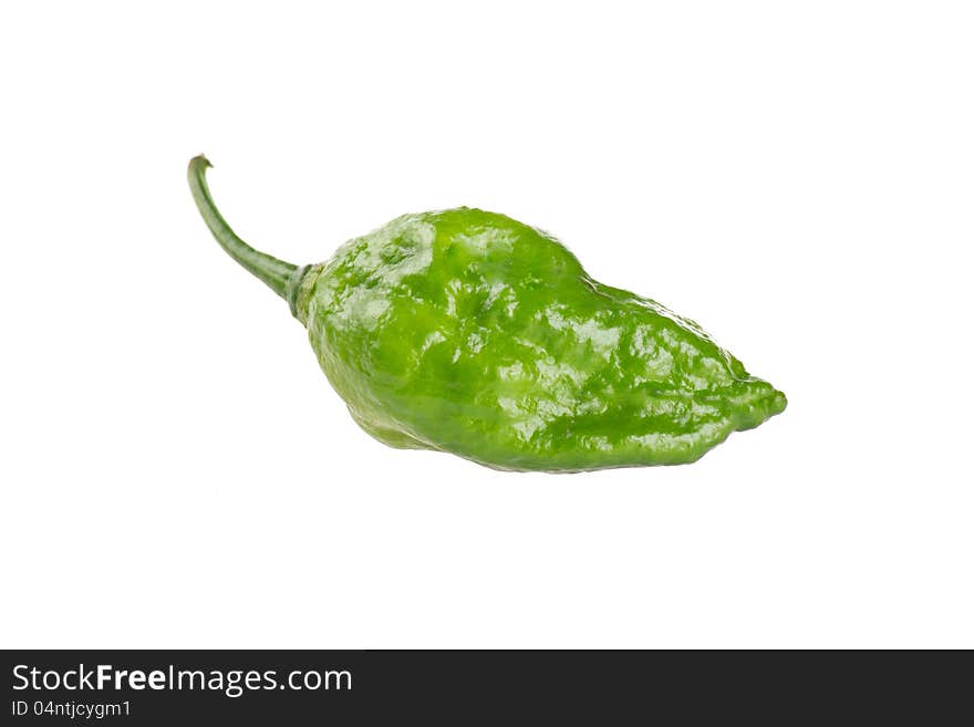 World Hottest Chillies