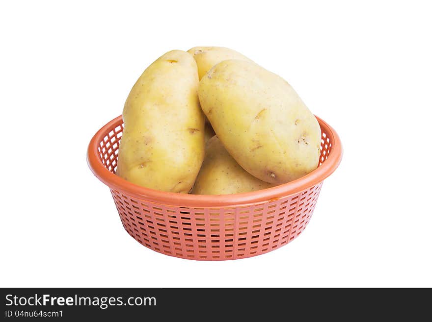 Potato