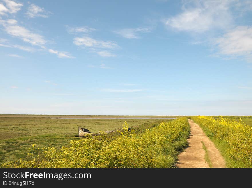 Marshes At Blakeney