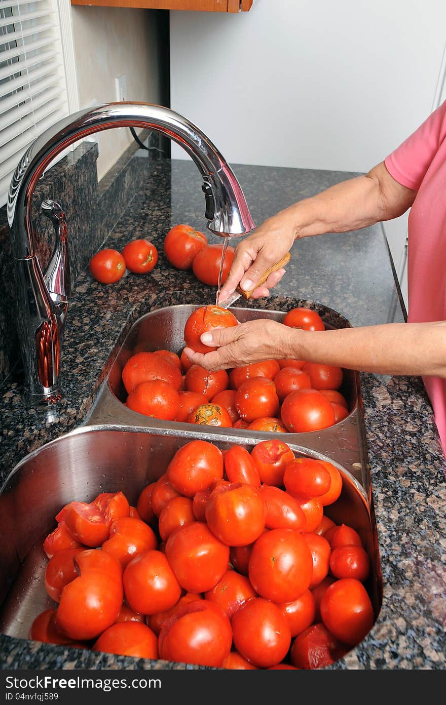 A woman prepares tomatoes for canning by removing the core of the tomato. A woman prepares tomatoes for canning by removing the core of the tomato.