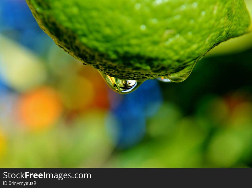 Raindrop On Lemon