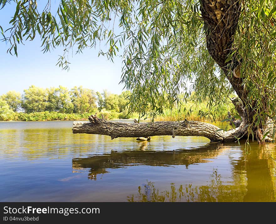 Lake pictures on the background of white clouds. Lake pictures on the background of white clouds