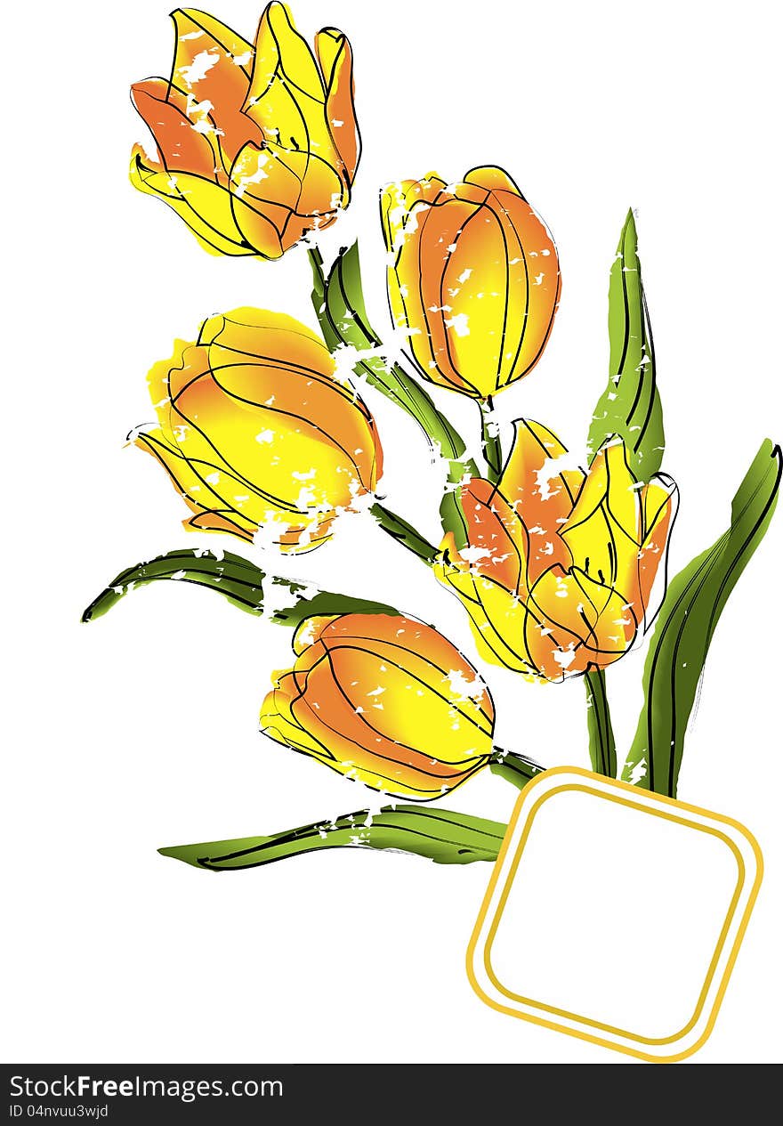 Tulips