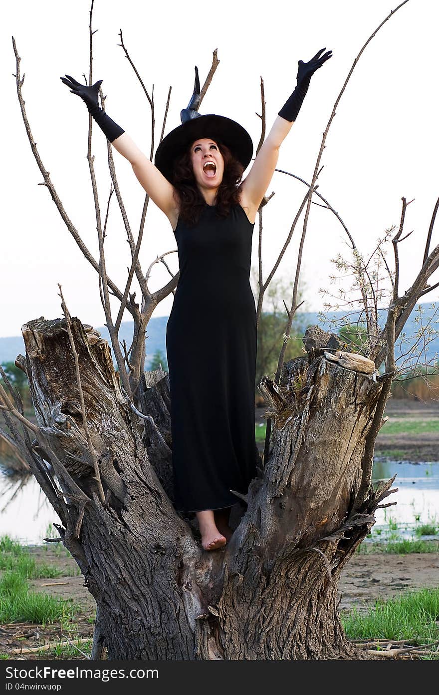 Halloween witch appeals to the sky while standing on a tree