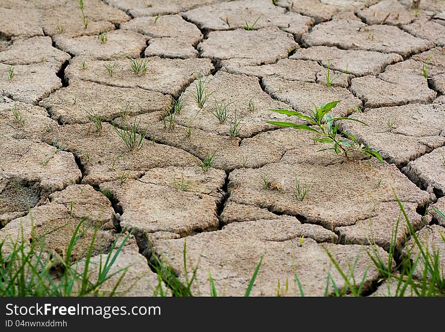 Cracks in the land in rural areas