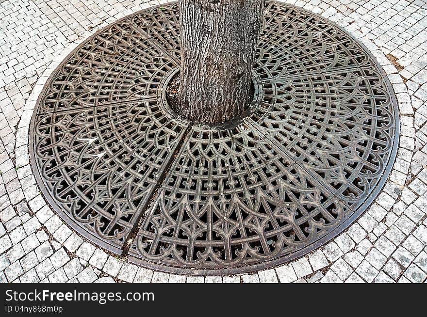 Picture of a Root tree guard