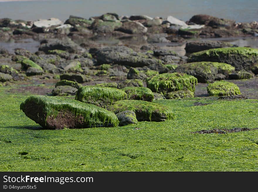 English coast at low tide