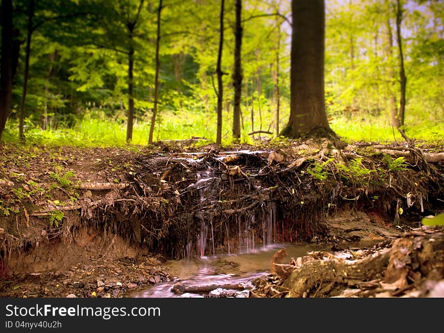 Small Waterfall in Green Forest