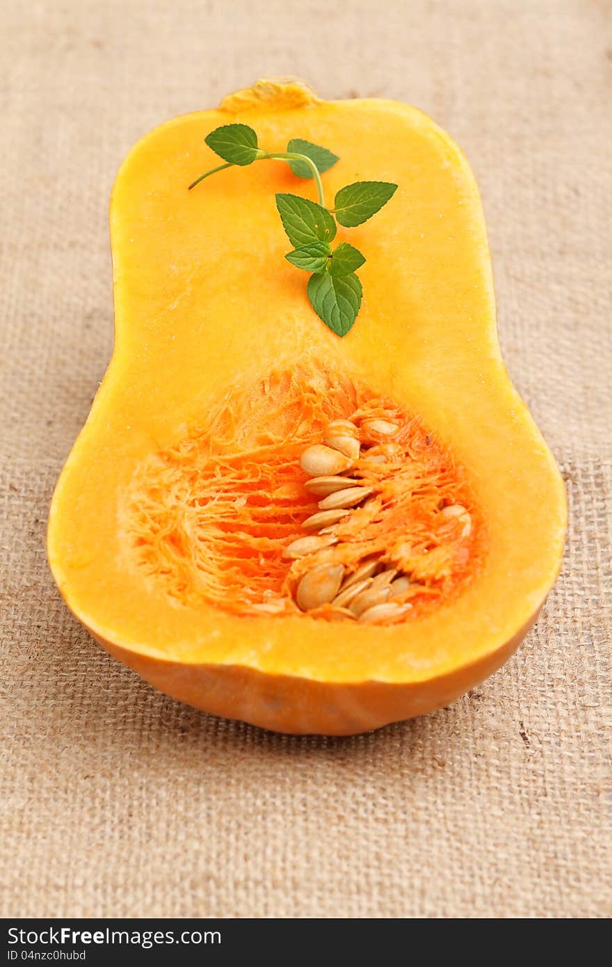 Slice of pumpkin with fresh herbs