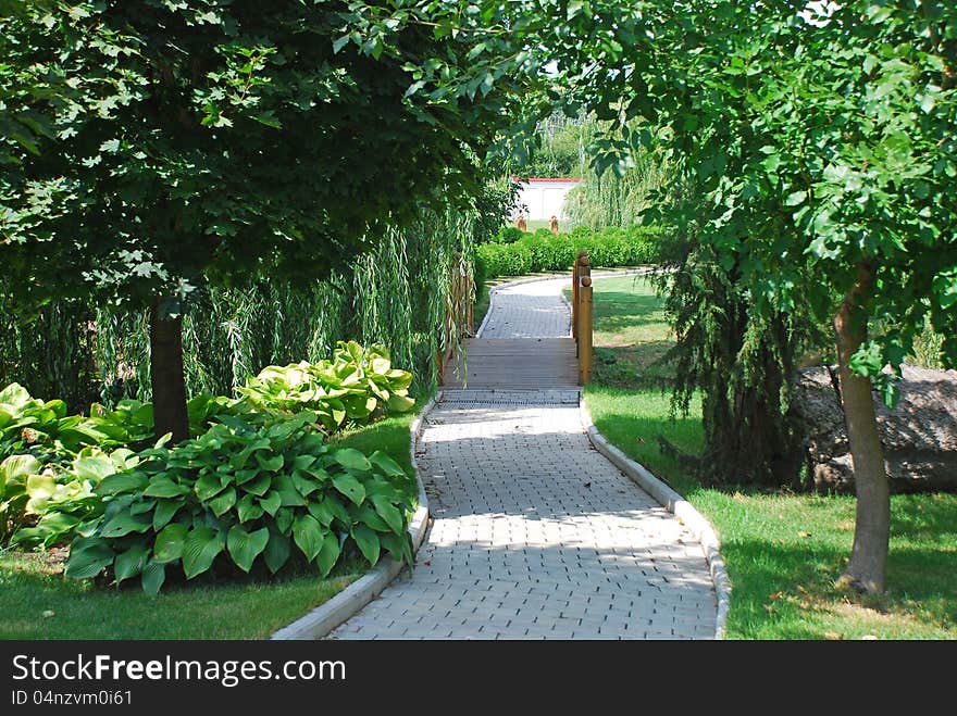 The path through the trees at the training base football team Shakhtar Donetsk, located outside the city in a clean area