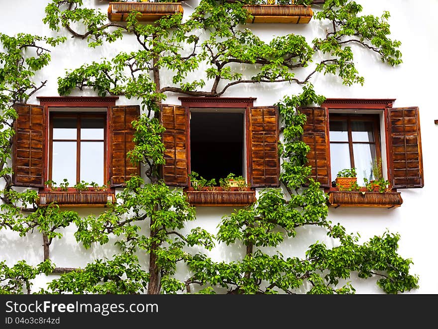 Three windows on a white  wall in traditionl austrin style. Three windows on a white  wall in traditionl austrin style