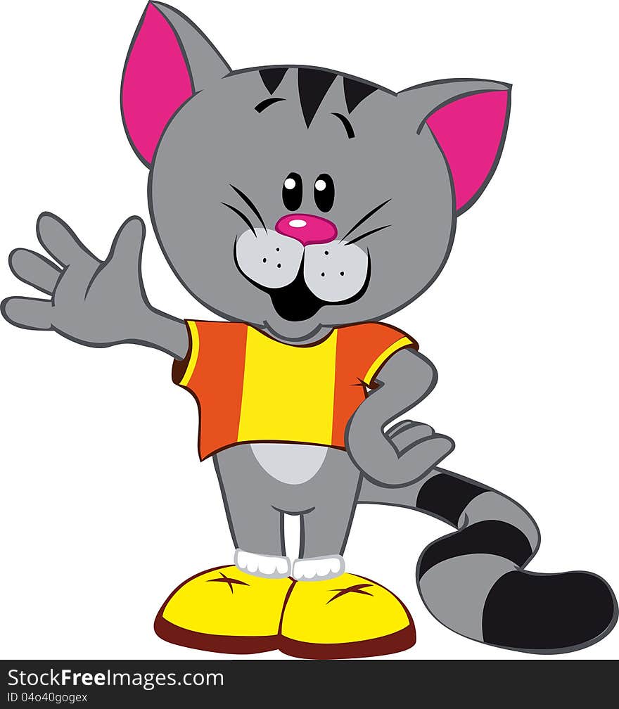 Gray sports cat on white background