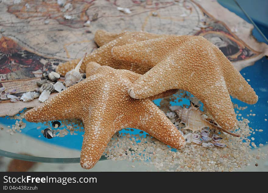 Starfishes on a glass and treasure map. Shallow depth-of-field