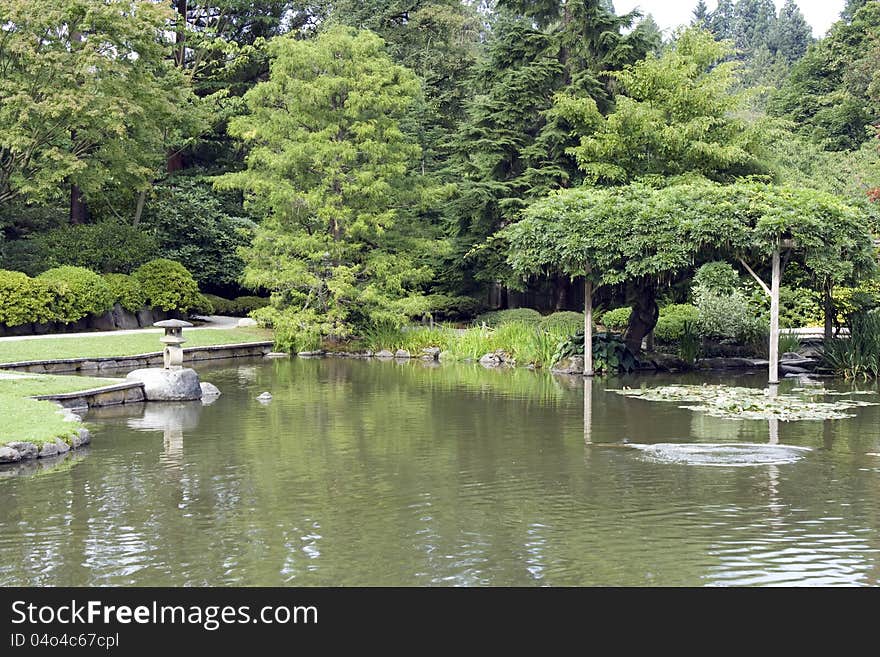 A picturesque Japanese garden with pond in summer time in Seattle.