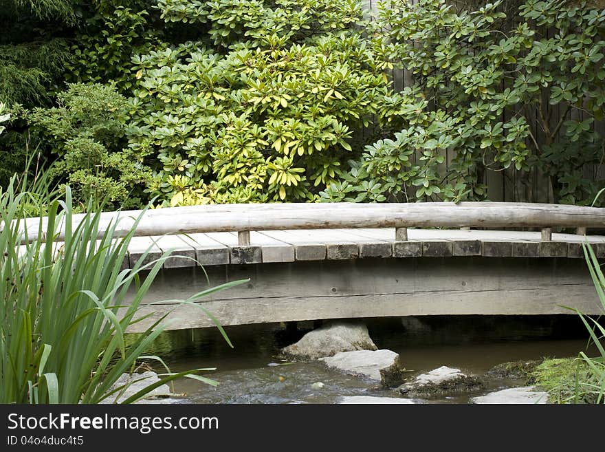 Wooden bridge in Japanese garden