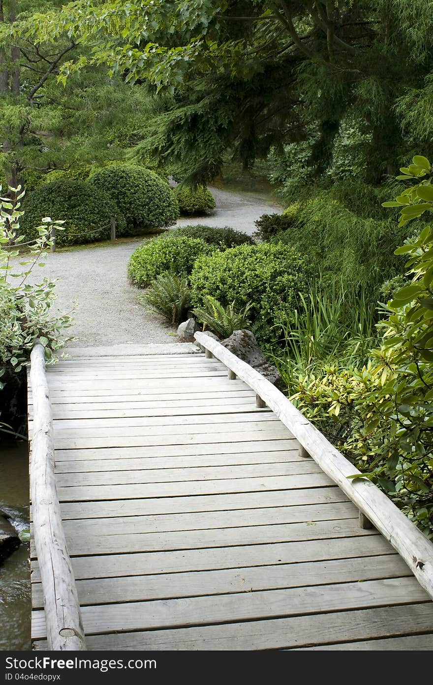 Wooden Bridge In Japanese Garden