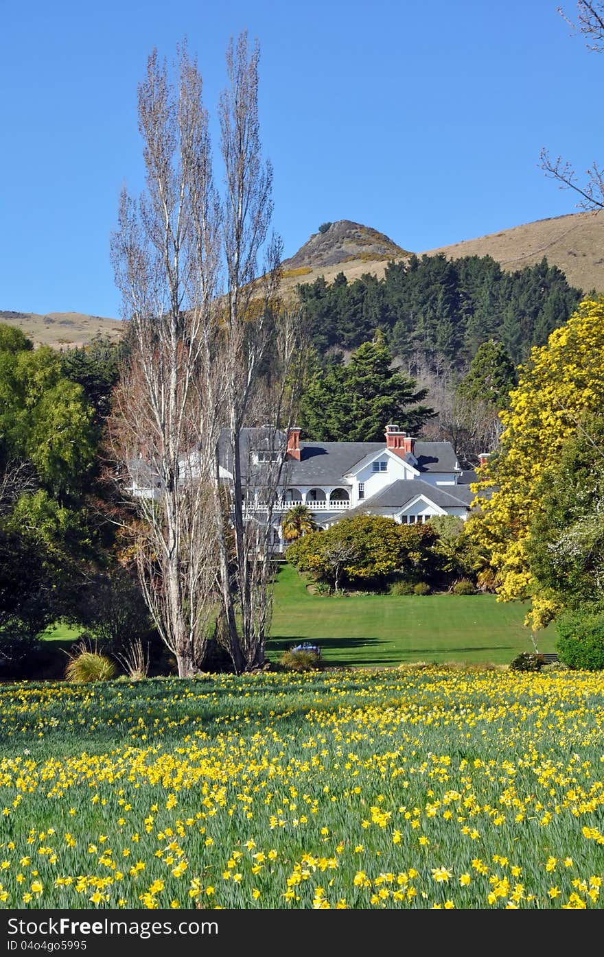 Otahuna Lodge in Spring, Canterbury, New Zealand