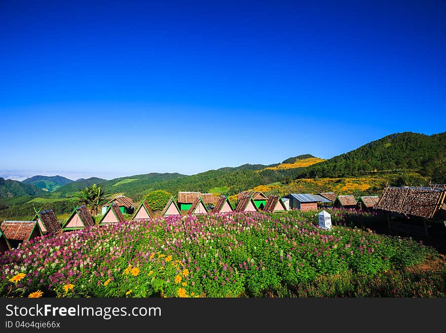 Beautiful landscape in the mountains